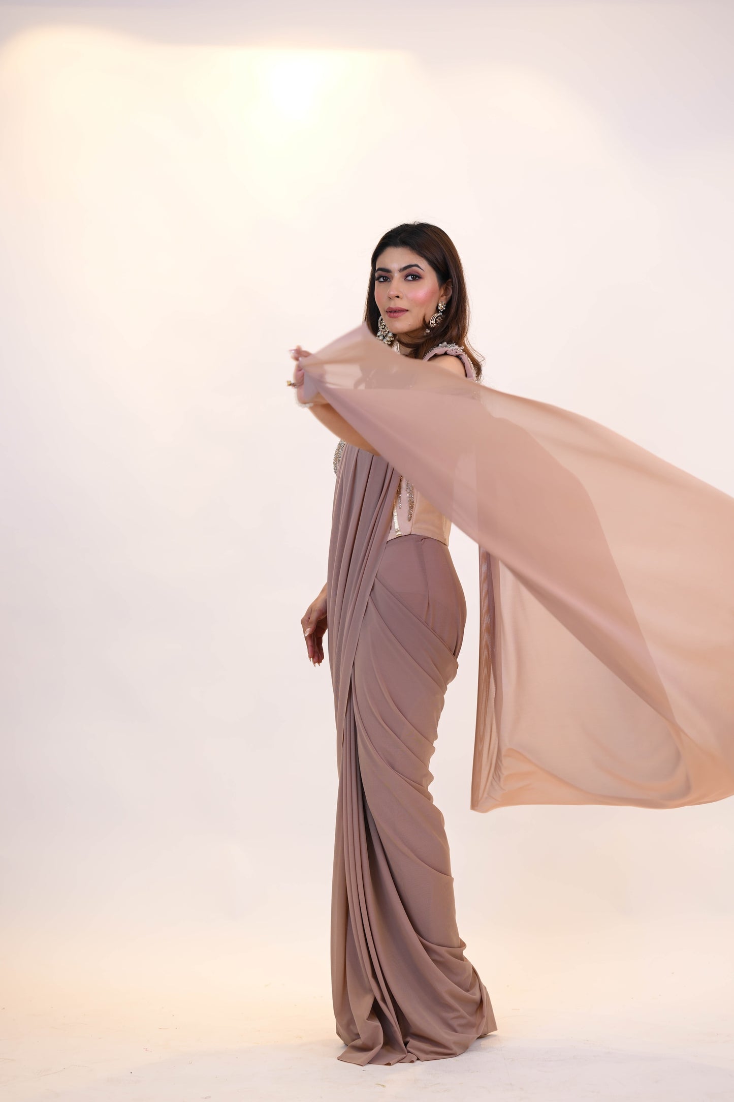 Rose Mist - Embellished Drape Saree